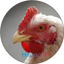 Hitung IP APK