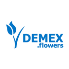 DEMEX flowers simgesi