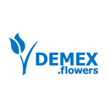 DEMEX flowers