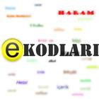 E Kodları 圖標