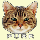 Purr Cat Sounds أيقونة