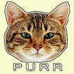 Purr Cat Sounds