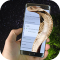 snake on screen