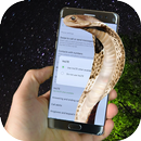snake on screen APK