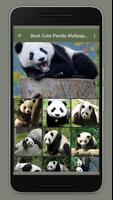 Cute Panda Wallpaper Affiche