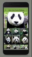 Cute Panda Wallpaper imagem de tela 2