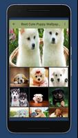 Cute Puppy Wallpaper पोस्टर