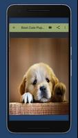 Cute Puppy Wallpaper स्क्रीनशॉट 1