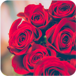 صور ورود جميلة 🌹