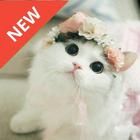 Cat Wallpaper HD 아이콘