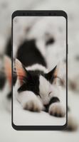 Cat Wallpaper HD capture d'écran 2