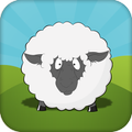 Rolling Sheep