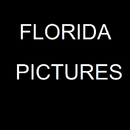 Florida Picture App APK