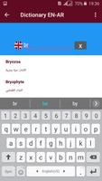 Dictionary English Arabic Affiche