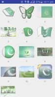 Pakistan Flage Face পোস্টার