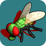 Fly Free icono