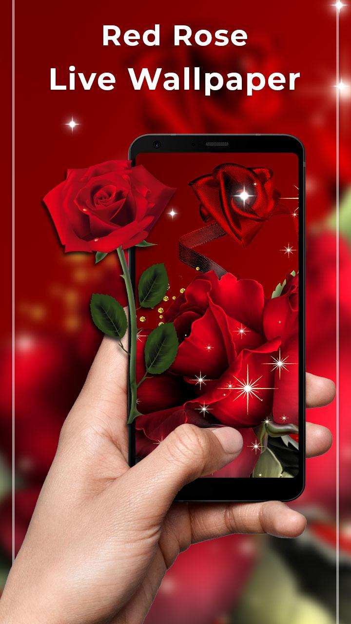 Red Rose Free live wallpaper for Android - APK Download