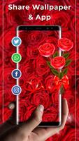 برنامه‌نما Red Rose Free live wallpaper عکس از صفحه