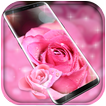 Rose Pink Water Drops Free live wallpaper