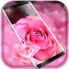 ikon Rose Pink Water Drops Free live wallpaper