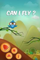 Can I Fly? poster