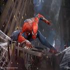 Spider-Man Wallpaper HD icône