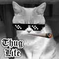 Thug Life 2017
