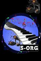S-ORG Poster