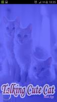 Talking Cute Cat 海报
