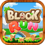 ikon Block Run