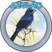 AZULÃO