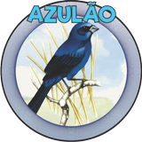 ikon AZULÃO