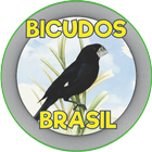 BICUDOS BRASIL 圖標