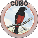 CURIÓ APK
