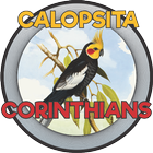 CALOPSITA - COR ไอคอน