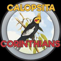 CALOPSITA - COR โปสเตอร์