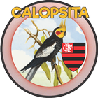 CALOPSITA - FLA icon