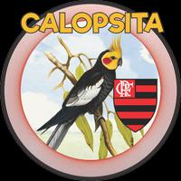 CALOPSITA - FLA poster