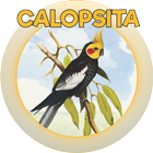CALOPSITA icône