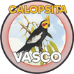 ”CALOPSITA - VASCO