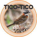 TICO - TICO APK