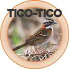 TICO - TICO icône