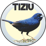 Tiziuu ícone