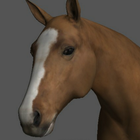 Horse Pose Tool 3D آئیکن