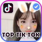 Tik Tok Videos ícone