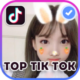 Tik Tok Videos icône