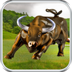 Real Angri Bull APK