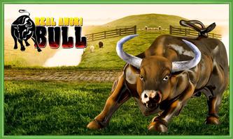 Real Angri Bull Affiche