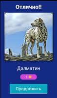 Сможешь угадать породу собак? اسکرین شاٹ 1