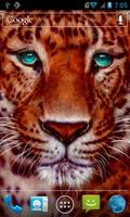 Poster Beautiful tiger